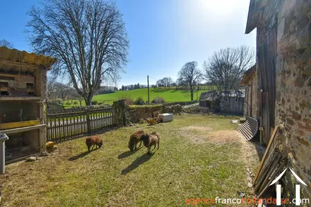 Huis met gastverblijf te koop la porcherie, limousin, Li1036 Afbeelding - 28