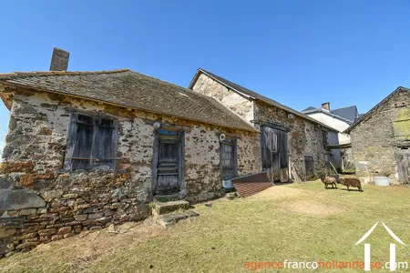 Huis met gastverblijf te koop la porcherie, limousin, Li1036 Afbeelding - 30