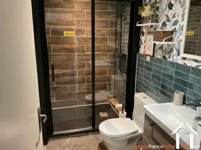 Huis met gastverblijf te koop st mesmin, champagne-ardennen, Li1044 Afbeelding - 30