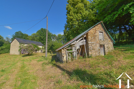 Bezit 1 hectare ++ te koop la croisille sur briance, limousin, Li1059 Afbeelding - 40