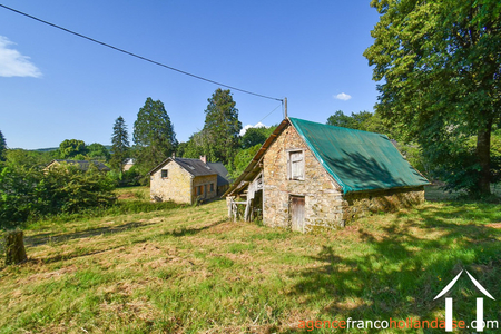 Bezit 1 hectare ++ te koop la croisille sur briance, limousin, Li1059 Afbeelding - 41