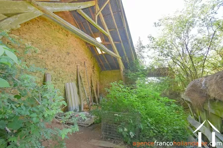 Bezit 1 hectare ++ te koop la croisille sur briance, limousin, Li1059 Afbeelding - 34