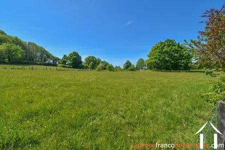 Bezit 1 hectare ++ te koop chateauneuf la foret, limousin, Li1062 Afbeelding - 40