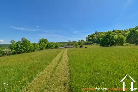 Bezit 1 hectare ++ te koop chateauneuf la foret, limousin, Li1062 Afbeelding - 57