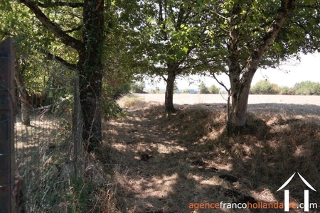 Bebouwbare grond te koop le lonzac, limousin, Li810 Afbeelding - 14