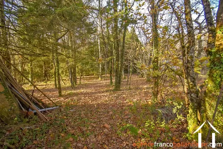 Dorpshuis te koop linards, limousin, Li856 Afbeelding - 75