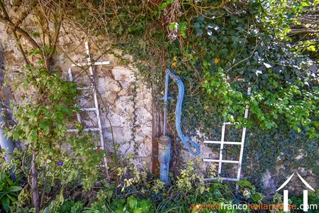 Bezit 1 hectare ++ te koop la croisille sur briance, limousin, Li894 Afbeelding - 49