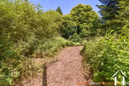 Woonhuis te koop nedde, limousin, Li913 Afbeelding - 39