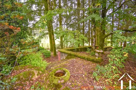 Manoir Landhuis  te koop ussel, auvergne, Li944 Afbeelding - 88