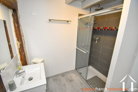 Huis met gastverblijf te koop la porcherie, limousin, Li956 Afbeelding - 19