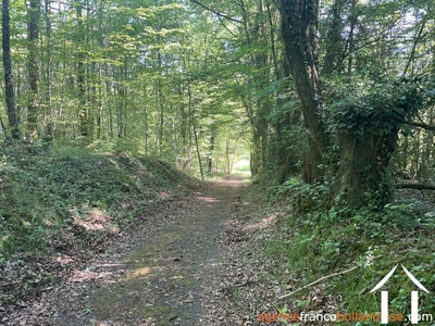 Woonhuis te koop st pardoux corbier, limousin, Li993 Afbeelding - 30