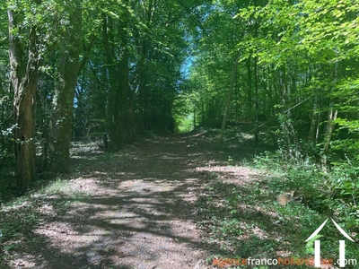 Woonhuis te koop st pardoux corbier, limousin, Li993 Afbeelding - 29