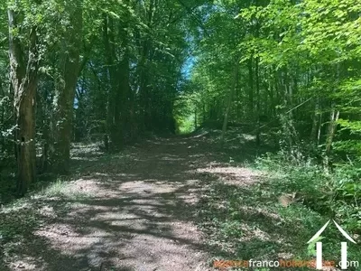 Woonhuis te koop st pardoux corbier, limousin, Li993 Afbeelding - 39