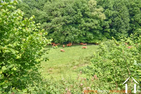 Woonhuis te koop rempnat, limousin, Li996 Afbeelding - 43