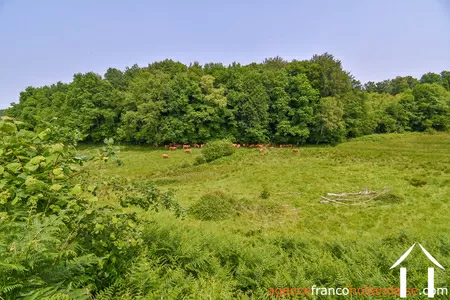 Woonhuis te koop rempnat, limousin, Li996 Afbeelding - 44