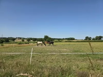 Woonboerderij te koop bourbon l archambault, auvergne, AP030071081 Afbeelding - 12