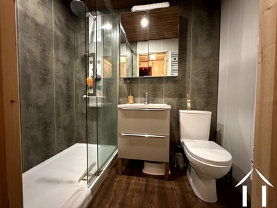 Woonboerderij te koop laprugne, auvergne, AP030071117 Afbeelding - 5