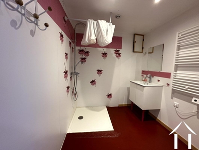 Woonboerderij te koop laprugne, auvergne, AP030071117 Afbeelding - 8