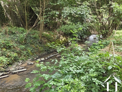 Molen te koop monteignet sur l andelot, auvergne, AP030071121 Afbeelding - 10