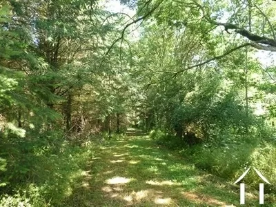 Woonhuis te koop louroux de beaune, auvergne, AP030071138 Afbeelding - 11