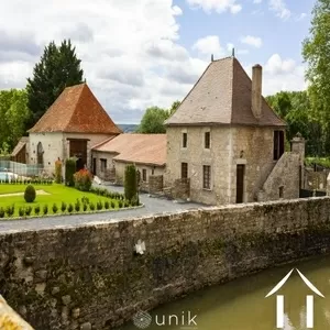 Kasteel te koop vicq, auvergne, AP030071140 Afbeelding - 13