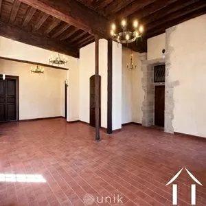 Kasteel te koop vicq, auvergne, AP030071140 Afbeelding - 9