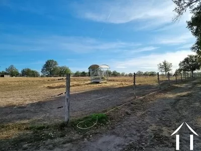 Paardenboerderij te koop sauvagny, auvergne, AP03007997 Afbeelding - 7