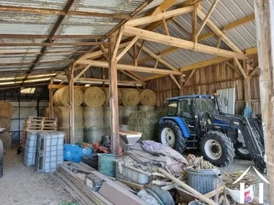 Paardenboerderij te koop sauvagny, auvergne, AP03007997 Afbeelding - 8