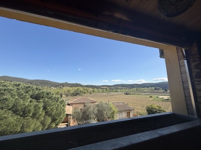 In Roquebrun, charming village house with pool, guest accommodation, a  spacious former wine cellar and views. Ref # EG09-6977 
