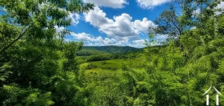 Bezit 1 hectare ++ te koop roquebrun, languedoc-roussillon, EG09-6993 Afbeelding - 2