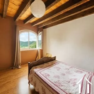 Bezit 1 hectare ++ te koop roquebrun, languedoc-roussillon, EG09-6993 Afbeelding - 3