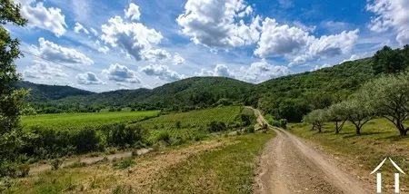 Bezit 1 hectare ++ te koop roquebrun, languedoc-roussillon, EG09-6993 Afbeelding - 4