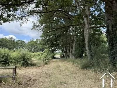 Manoir Landhuis  te koop conquereuil, landen van de loire, EG11-2524 Afbeelding - 6