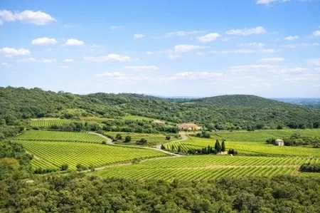 Woonhuis te koop faugeres, rhône-alpen, EG11-2546 Afbeelding - 9