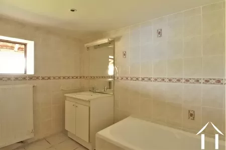 Bezit 1 hectare ++ te koop st didier en bresse, bourgogne, JP5248B Afbeelding - 12