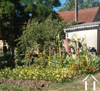 Groentetuin