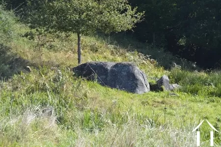 Bezit 1 hectare ++ te koop tazilly, bourgogne, RP5275M Afbeelding - 28