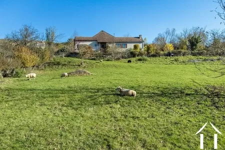 Uitzicht op de weide