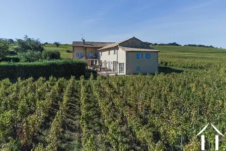 Manoir Landhuis  te koop macon, bourgogne, JP5262S Afbeelding - 19