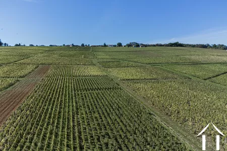 Manoir Landhuis  te koop macon, bourgogne, JP5262S Afbeelding - 20