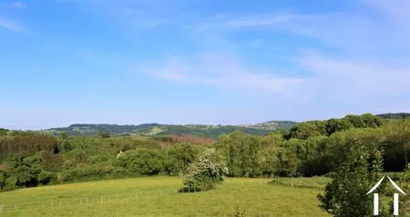 Authentiek stenen huis  te koop arleuf, bourgogne, CvH5323L Afbeelding - 22