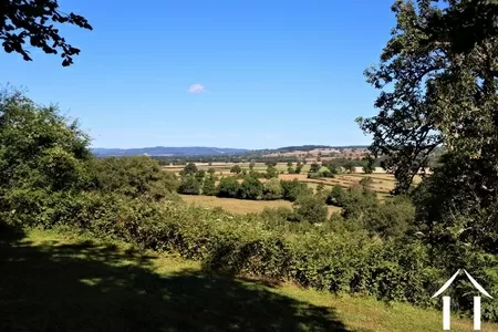 Authentiek stenen huis  te koop st leger du bois, bourgogne, CVH5344L Afbeelding - 8