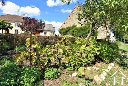 Huis met gastverblijf te koop igornay, bourgogne, JP5365S Afbeelding - 35