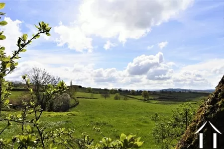 Woonhuis te koop la guiche, bourgogne, JDP5664S Afbeelding - 8