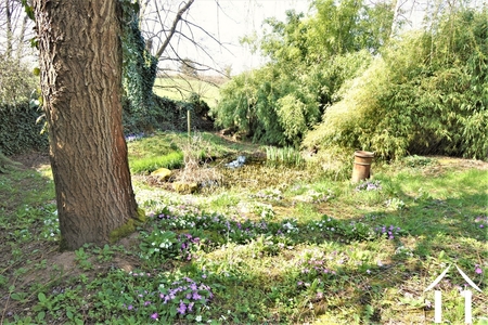 Authentiek stenen huis  te koop cluny, bourgogne, JP5450S Afbeelding - 19