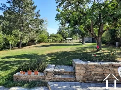 Looking up the rear garden