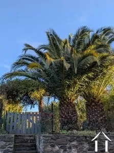 Woonhuis te koop roquessels, languedoc-roussillon, 11-2508 Afbeelding - 5