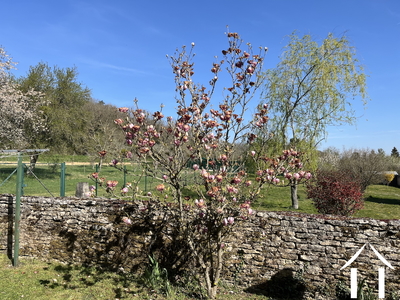 Woonhuis te koop noyers, bourgogne, bh5582H Afbeelding - 11