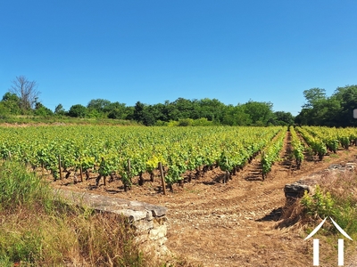 Woonhuis te koop chagny, bourgogne, JDP5598S Afbeelding - 35