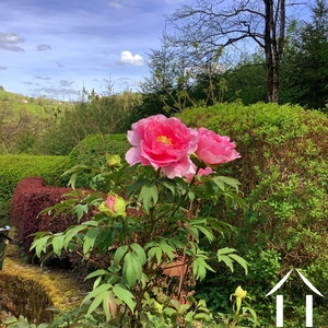 Woonhuis te koop cussy en morvan, bourgogne, cvh5641 Afbeelding - 18